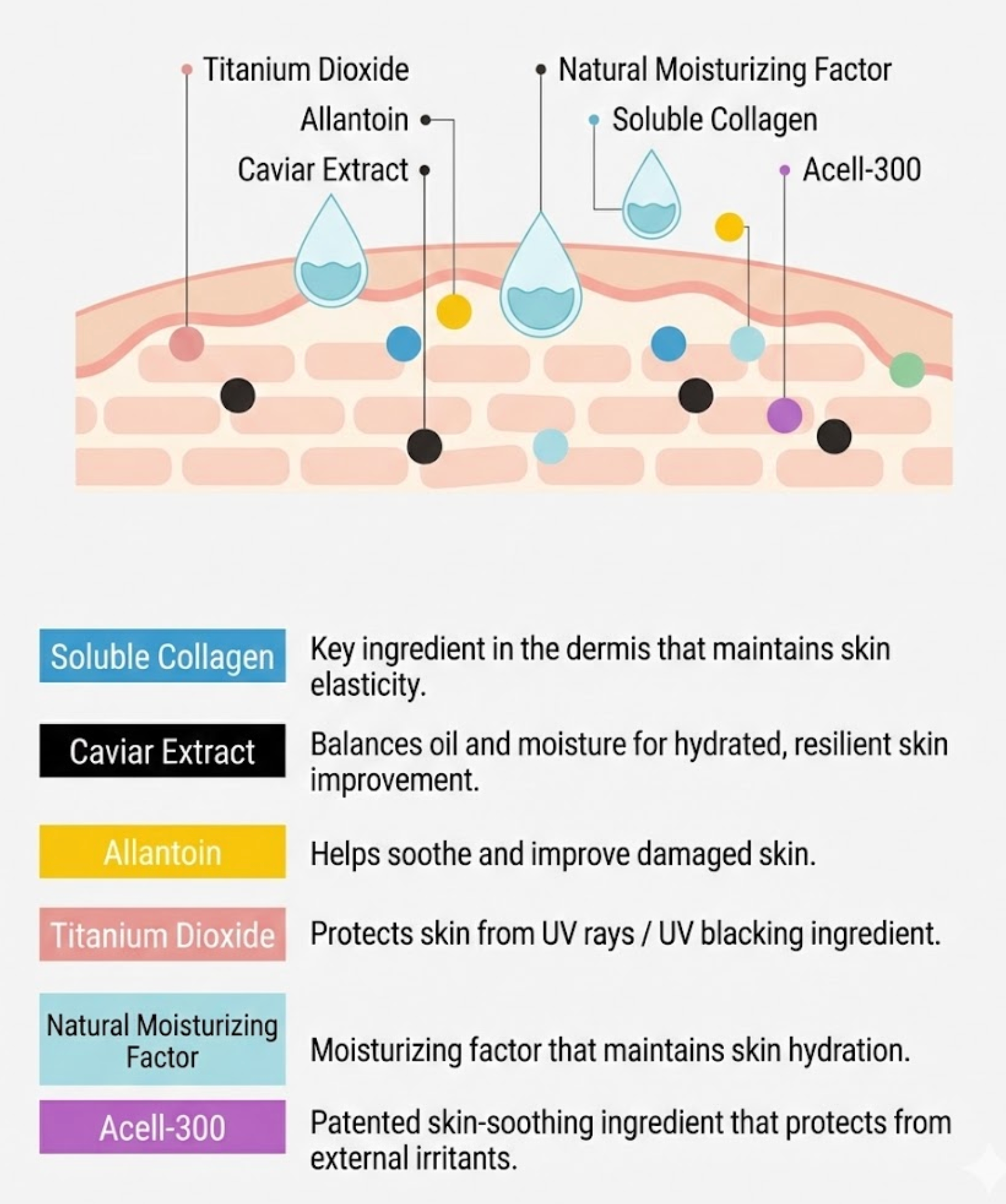 Flawless Care: Why the Ladamer Cell Clinic BB Cream is a Professional Favorite