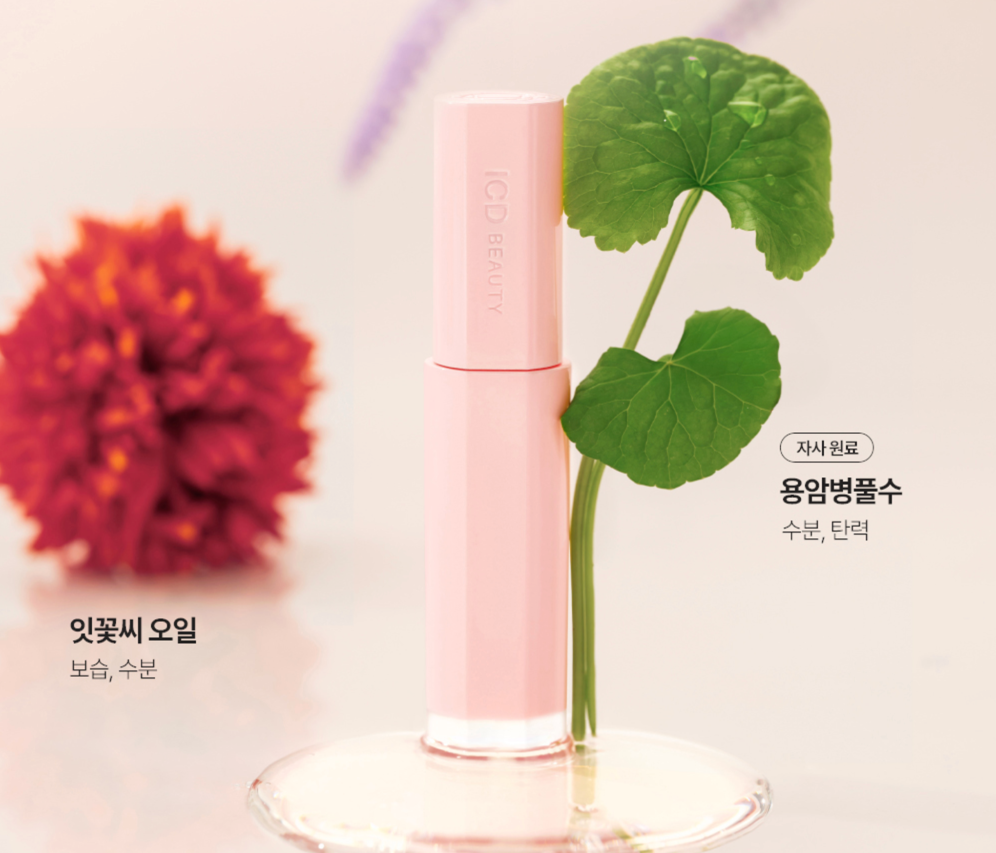 Incellderm Glow Up Lip Oil